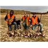 Image 1 : Miller Ranch Pheasant Hunt for Two (2) Hunters Six (6) Pheasants
