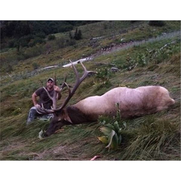 Washington State Governor's Westside Elk Tag