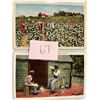 Image 8 : Black Americana Album 30 Cards