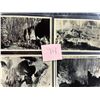 Image 8 : Real Photo Caves Album 50+ Cards
