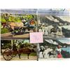 Image 2 : Black Americana Album 120+ Cards