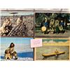 Image 8 : Alaska Eskimos Album 50+ Cards