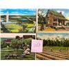 Image 2 : Florida Approx. 350 Cards