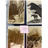 Image 8 : Glacier National Park Real Photo Album 40 Cards