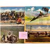 Image 1 : Cowboys & Western 40+ Cards