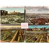 Image 2 : Stockyards Album of 60+ Cards