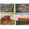 Image 2 : Ohio Approx. 400 Cards