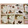 Image 3 : Thanksgiving Tuck Publishing Greeting Holiday Cards 45+