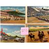 Image 2 : Sports - Horse Racing Approx. 100 Cards