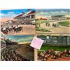 Image 8 : Sports - Horse Racing Approx. 100 Cards