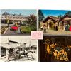 Image 1 : California Amusement Parks Album 75+ Cards