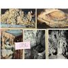 Image 8 : Caves Approx. 550 Cards