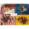 Image 8 : Advertising Album 70+ Cards