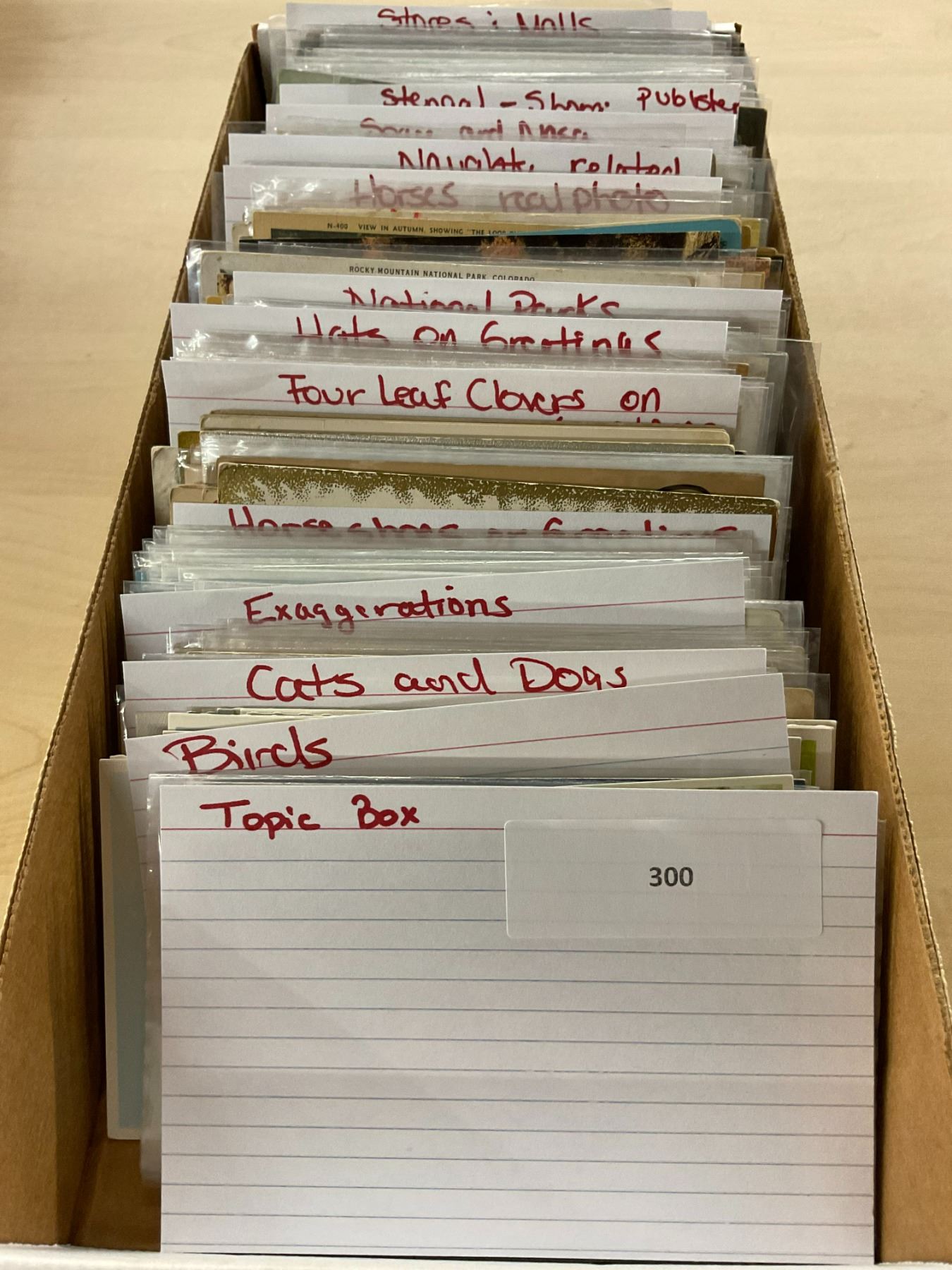 Subject & Topic Box 450+ Cards