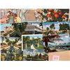 Image 2 : Florida Approx. 500 Cards