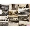 Image 1 : Colorado Real Photo Sanborn Postcards Approx. 90