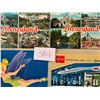 Image 1 : Disneyland Amusement Park 40+ Cards