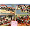 Image 1 : Florida Large Letter Linens 45+