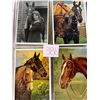 Image 2 : Horses on Postcards Album 185+