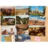 Image 1 : Colorado 1400+ Cards