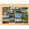 Image 2 : Kentucky 800+ Cards