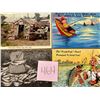 Image 8 : Fishing Approx. 225 Cards