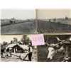 Image 1 : Farming - Harvesting 110+ Cards