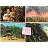 Image 8 : Farming - Harvesting 110+ Cards