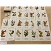Image 2 : Illustrations from Songbird Series 32 Postcards & Box