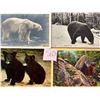 Image 2 : Animals - Bears Approx. 275 Cards