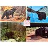Image 8 : Animals - Bears Approx. 275 Cards