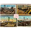 Image 8 : Cotton Industry Album 70+ Cards