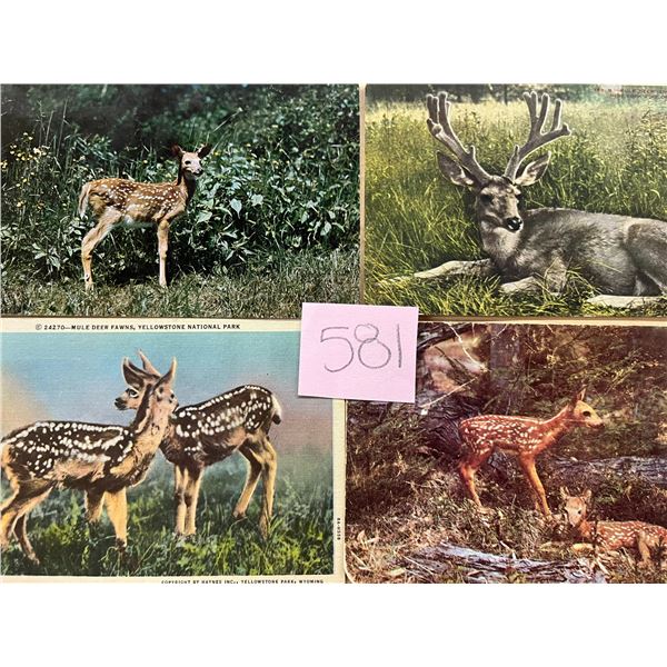 Animals - Deer Approx. 375 Cards