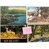 Image 2 : Animals - Deer Approx. 375 Cards
