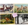 Image 4 : Animals - Deer Approx. 375 Cards