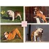 Image 1 : Animals - Dogs Approx. 175 Cards