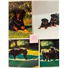 Image 3 : Animals - Dogs Approx. 175 Cards