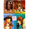 Image 9 : Animals - Dogs Approx. 175 Cards