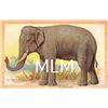 Image 1 : Tuck "Wild Animals" No. 401 Group of 6 Postcards