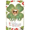 Image 1 : 5 Nister Brundage Valentine Girls In Clover Holiday Greeting Postcards