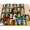 Image 2 : 1984 San Francisco Giants Team Baseball 31 Postcards Set
