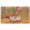 Image 19 : Advertising Set of 13 Shoot Dupont Powders Hunting & Animals Postcards