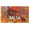 Image 9 : Advertising Set of 13 Shoot Dupont Powders Hunting & Animals Postcards