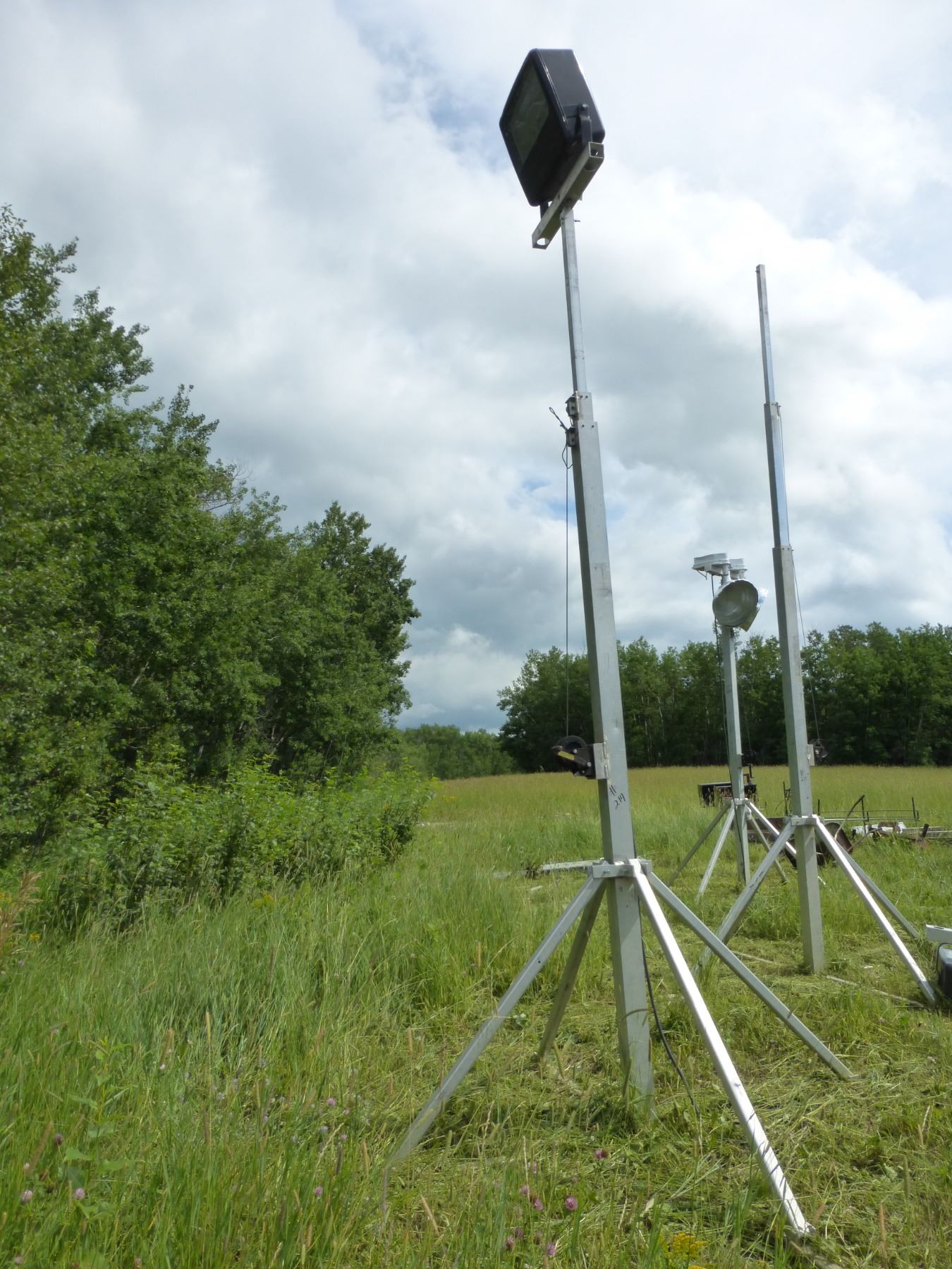 5 Lights, 110V (1st and 2nd Pics are EXAMPLE of complete set up)