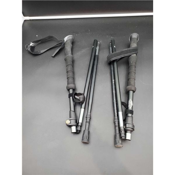 Cascade Mountain Tech Trekking Poles