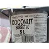 Image 2 : Coconut Sorbetto 5L