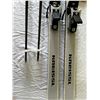 Image 2 : Kneissl White Star - Made in Austria Skis and Poles