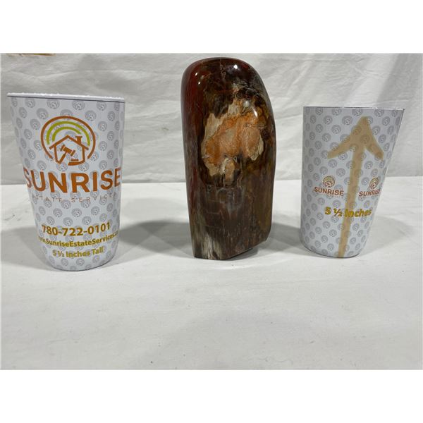 Polished Petrified Wood