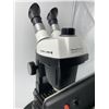 Image 7 : Microscope Bausch Stereo zoom 5 Model# 245