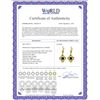 Image 2 : Genuine 1.0 ctw Black Diamond Earrings 14KT Yellow Gold - REF-76P2H